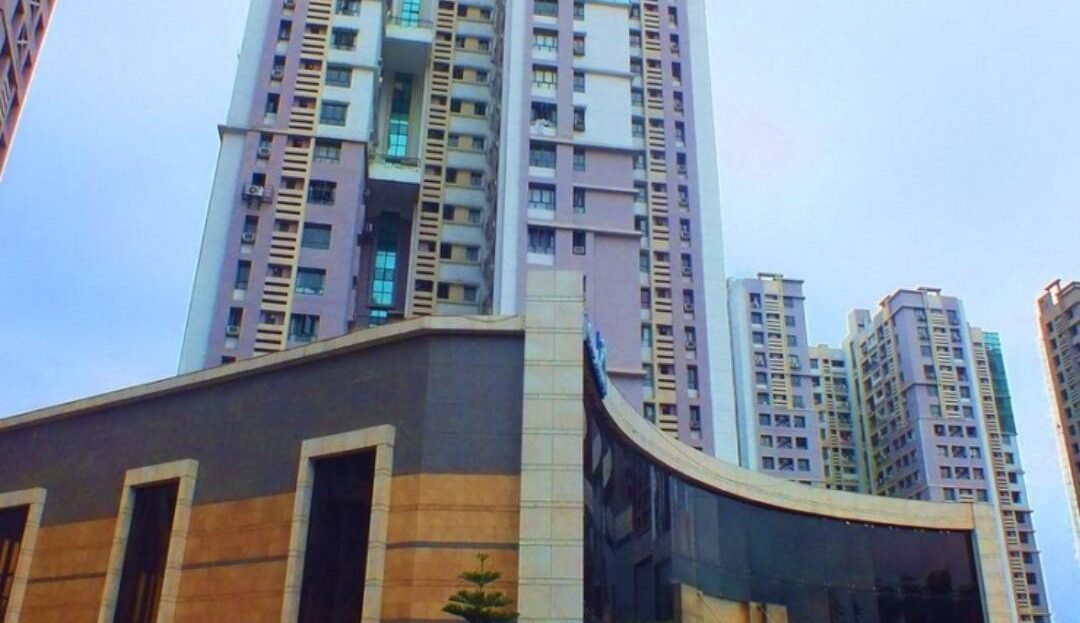 video image