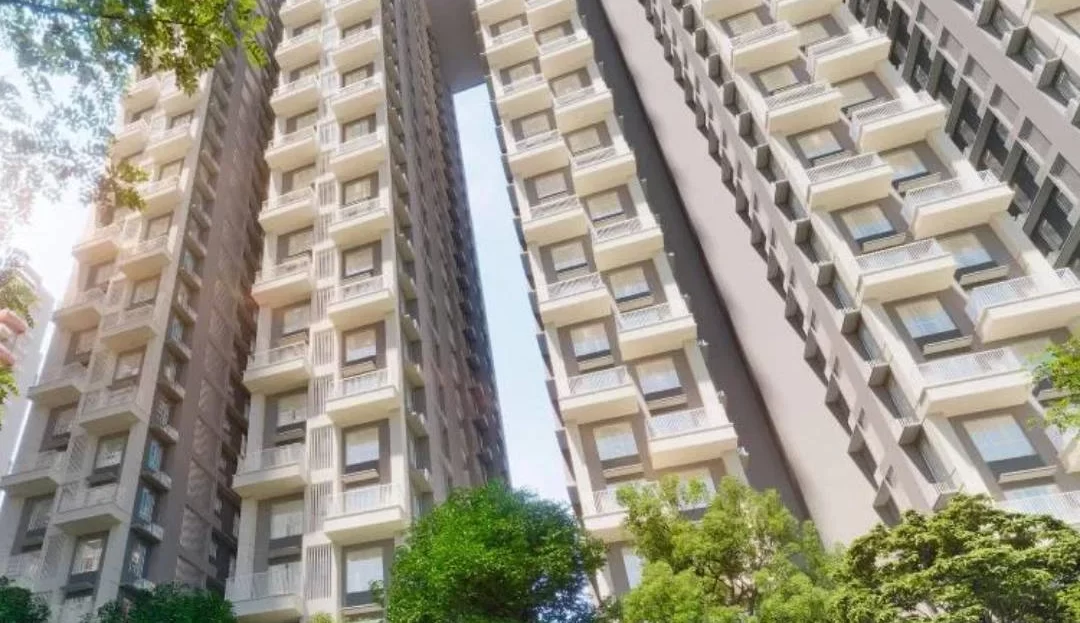 video image
